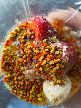 Φόρτωση εικόνας στο εργαλείο προβολής Συλλογής, Νωπή Πολυανθική Γύρη / Fresh Flower Pollen